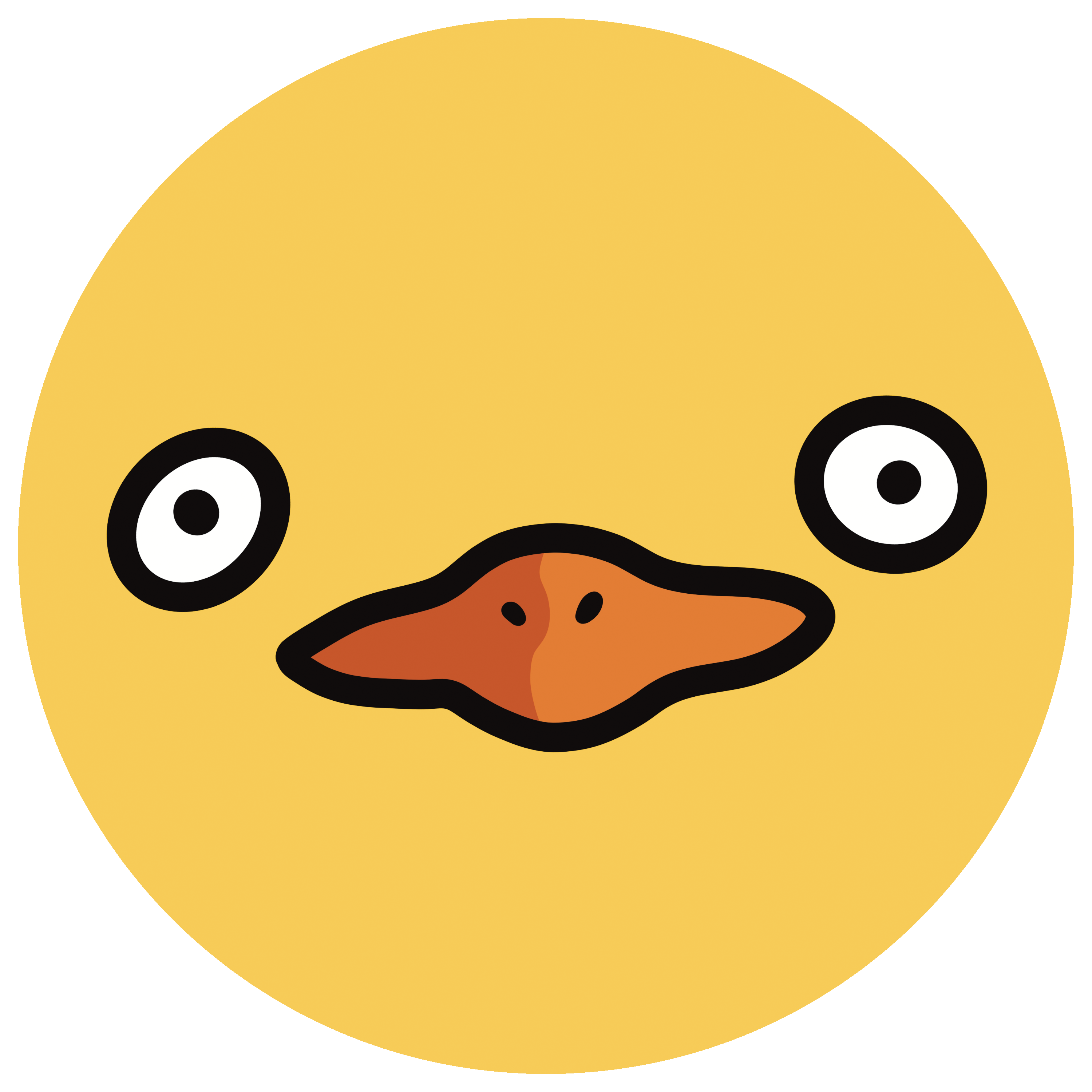 funny duck 2