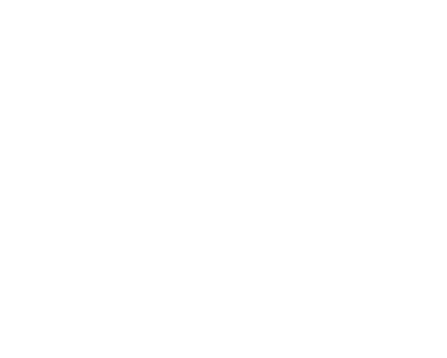 kingshit logo